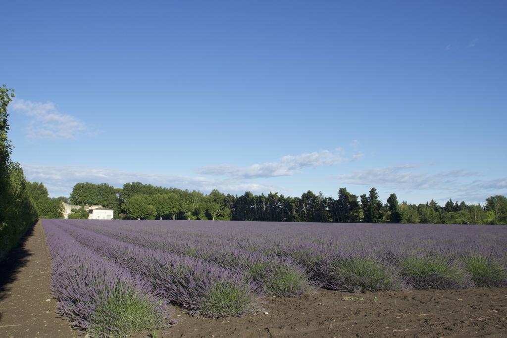 Bed and Breakfast Montjoia Le Thor Exterior foto